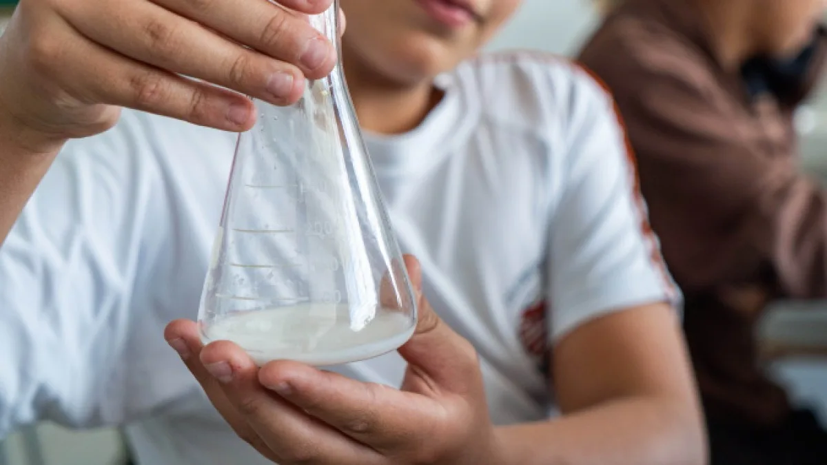 Projeto apresentado em Foz do Iguaçu testa repelente natural contra escorpiões criado por alunos do Paraná