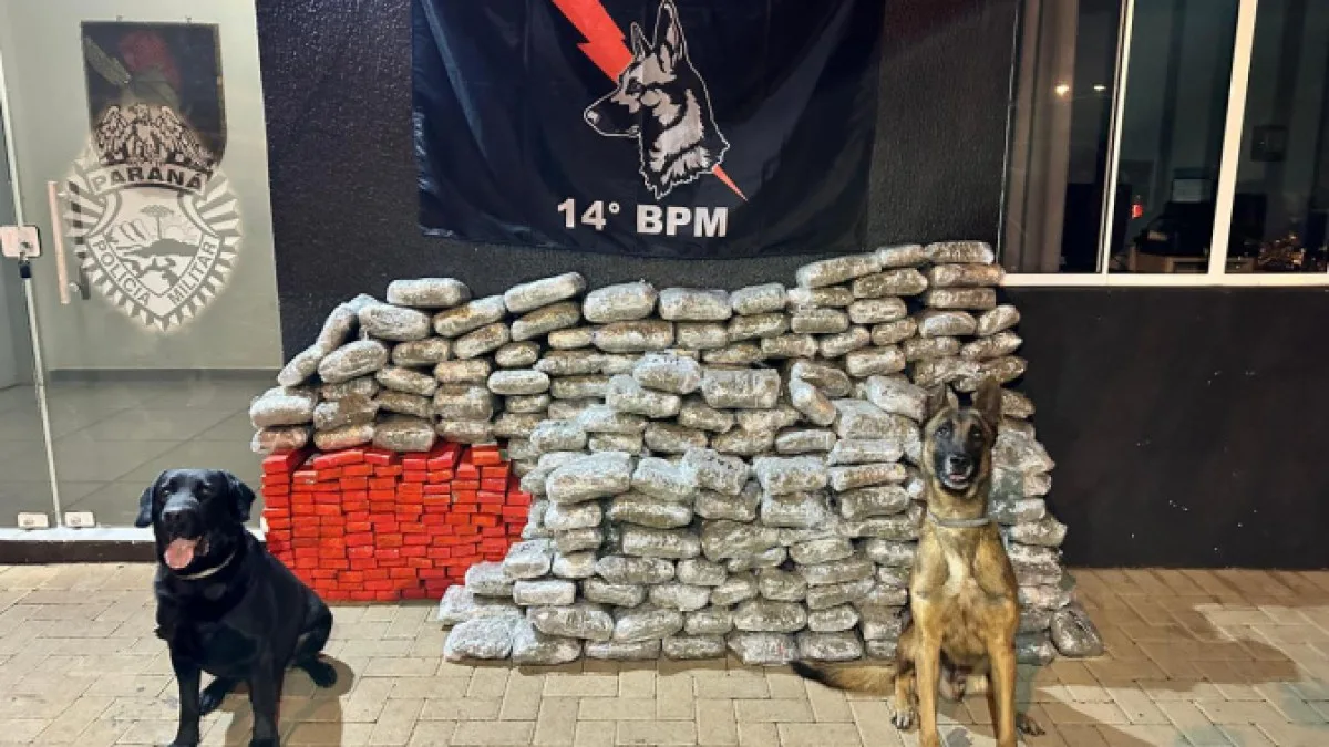 Apreensões de maconha sobem 228% em dez anos na área do 14º BPM, na fronteira do Paraná
