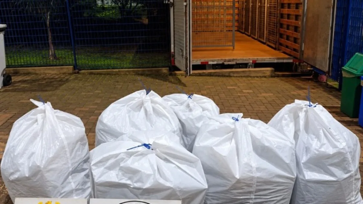 FICCO apreende 23,7 kg de drogas e remessas com medicamentos estrangeiros em ações no Oeste do Paraná