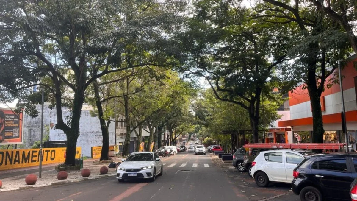 Prefeitura anuncia poda de árvores na Avenida Brasil com impacto no trânsito em Foz