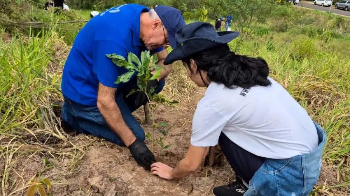 Paraná deve fechar o ano com mais de 15 milhões de mudas nativas distribuídas