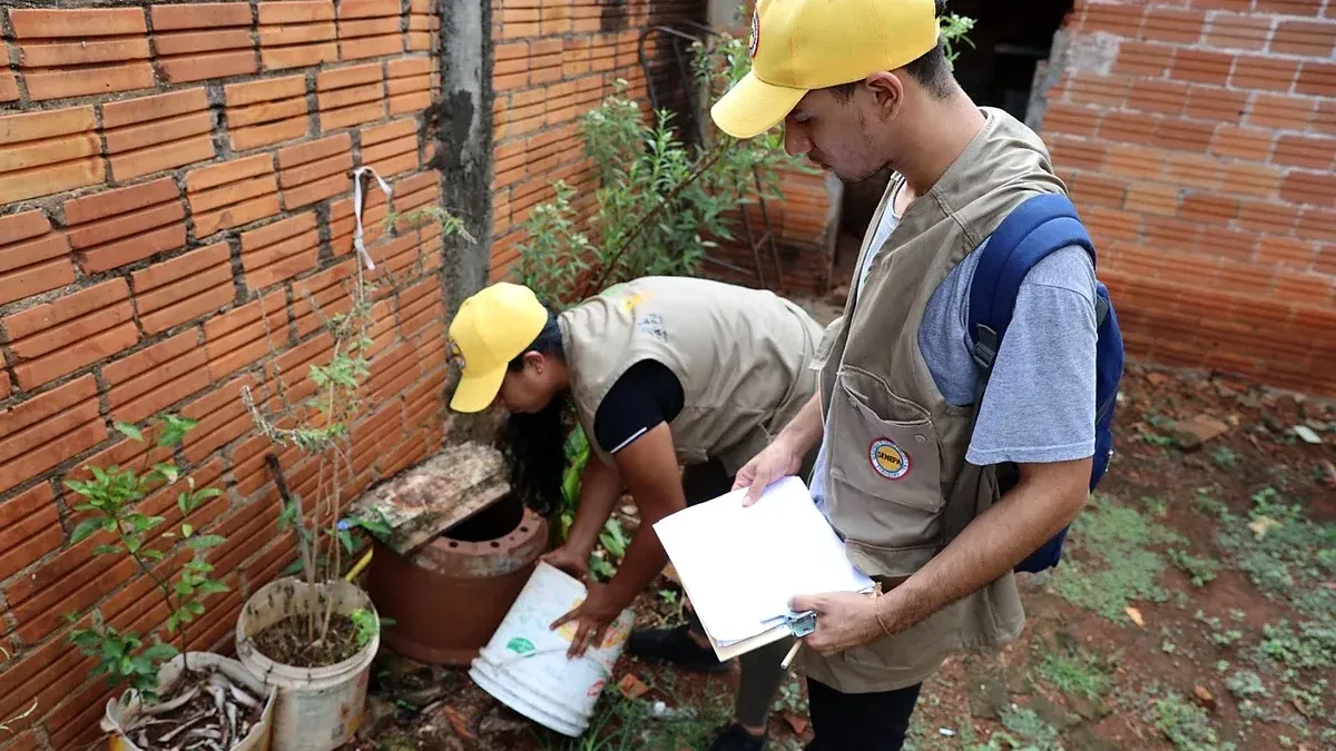 Senepa alerta para alta proliferação de mosquitos em Ciudad del Este após semanas de chuva