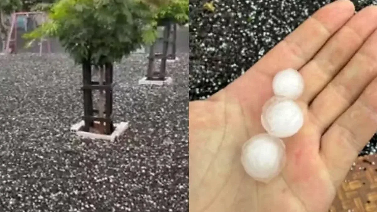 Granizo cobre quintais em comunidades rurais de Santa Helena, no Oeste do Paraná