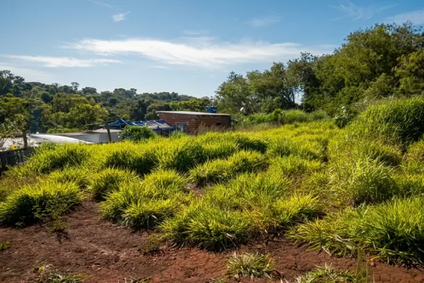 Prefeitura volta a retirar construções irregulares de área pública no Jardim Jupira