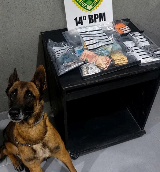 Ação da Denarc e PM apreende mais de R$ 30 mil e cocaína em Foz do Iguaçu