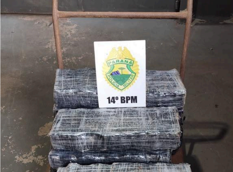Choque apreende mais de 100 quilos de maconha na comunidade Monsenhor Guilherme, em Foz