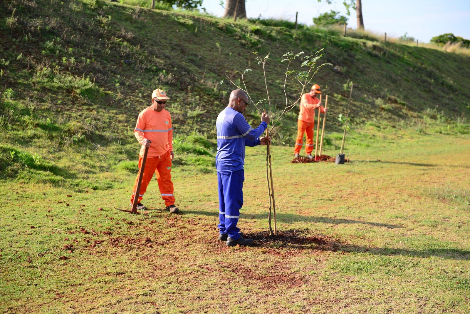 Mais de 60 mudas de árvores são plantadas na Associação de Moradores do Ouro Verde