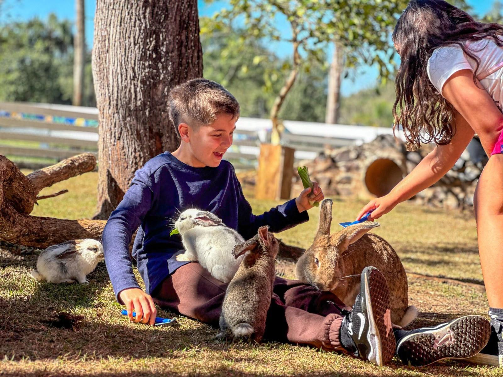 Zoo Park Foz prepara programação especial para o Dia das Crianças