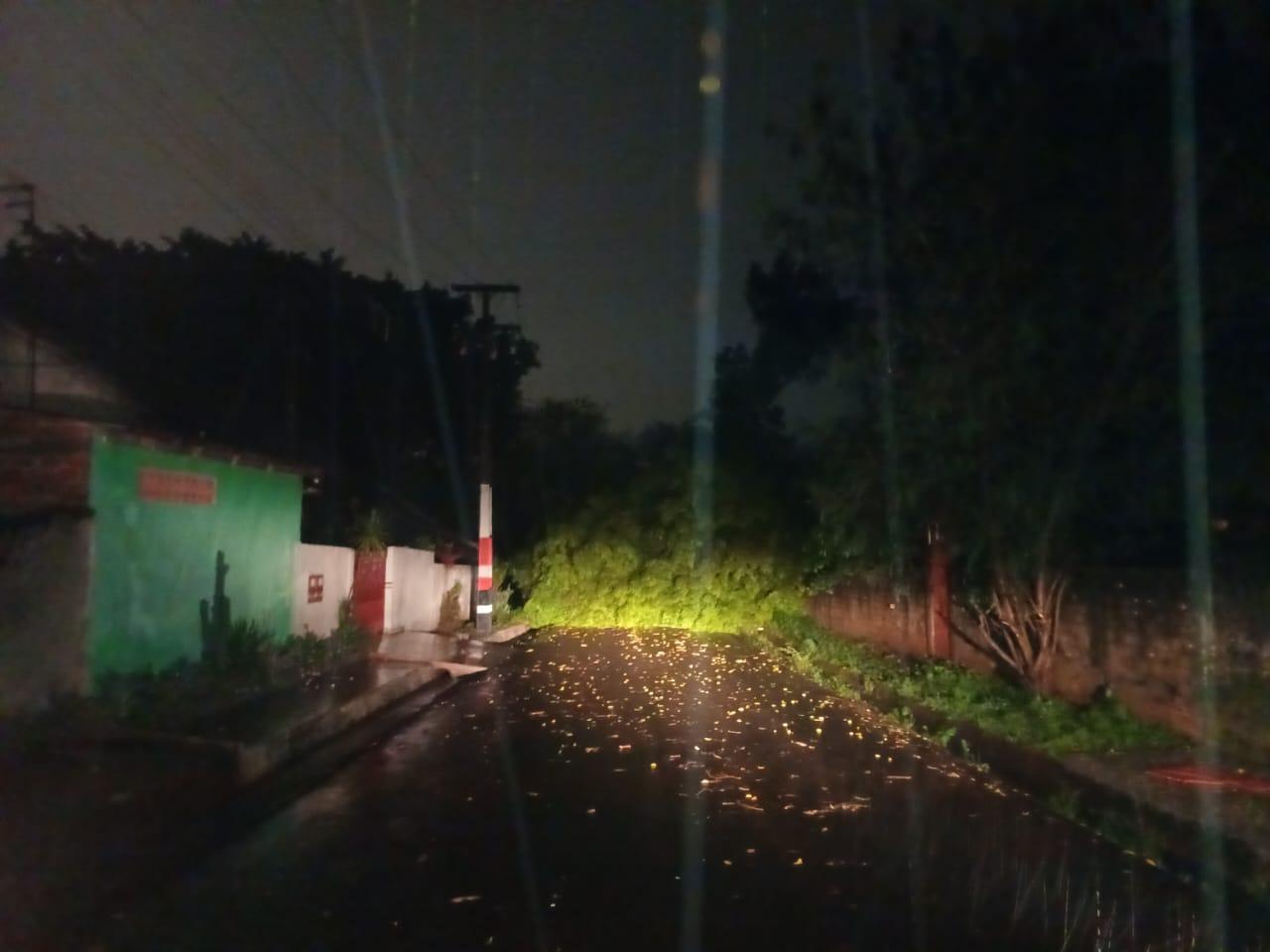 Temporal em Foz deixa família de seis pessoas desalojada e provoca queda de árvores