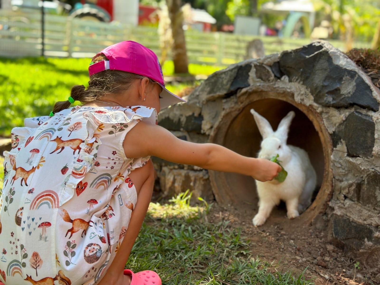 Concurso de fantasias de animais será destaque do Dia das Crianças no Zoo Park Foz