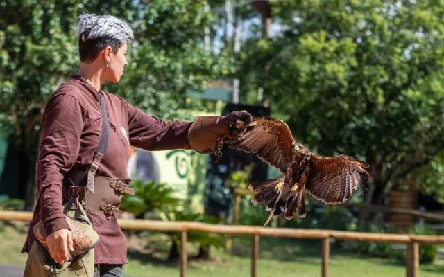 Dia das Crianças no Zoo Park Foz terá até 40% de desconto para iguaçuenses e moradores de municípios lindeiros