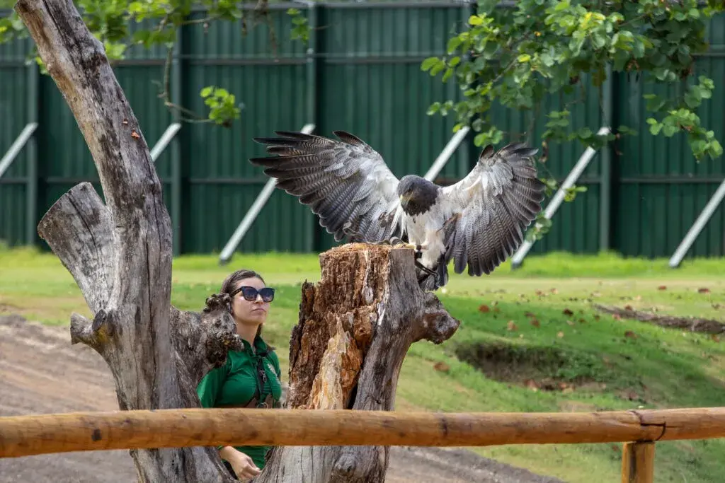 Rock, compras e conexão com a natureza marcam o feriado da Independência no Complexo Dreams Park Show