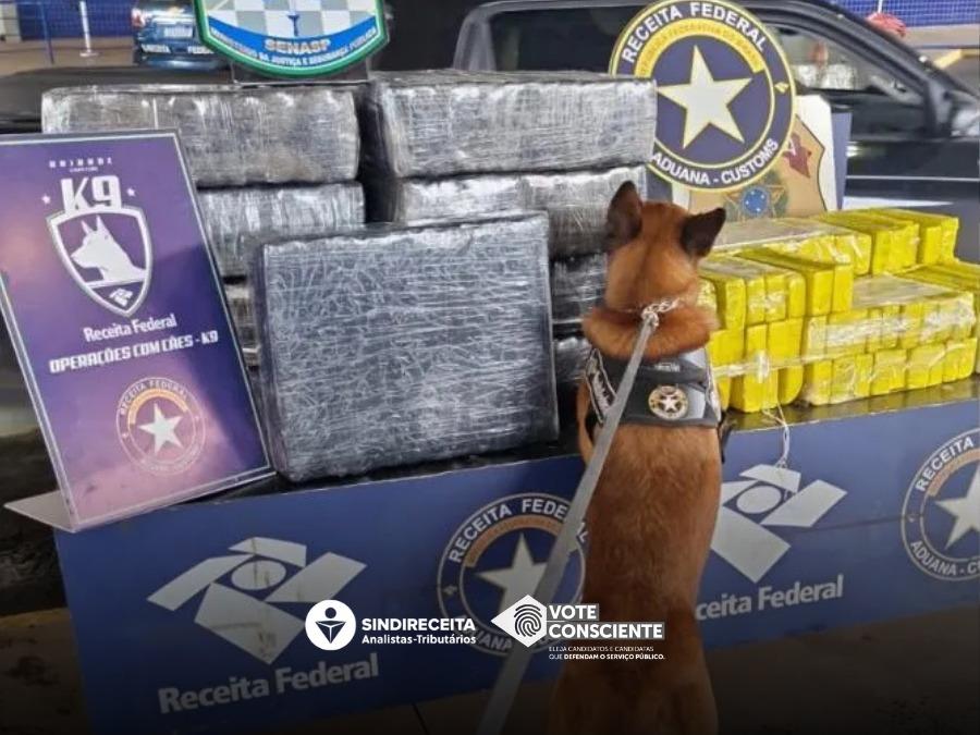 Analistas-Tributários atuam na apreensão de 310 kg de maconha em Foz do Iguaçu/PR